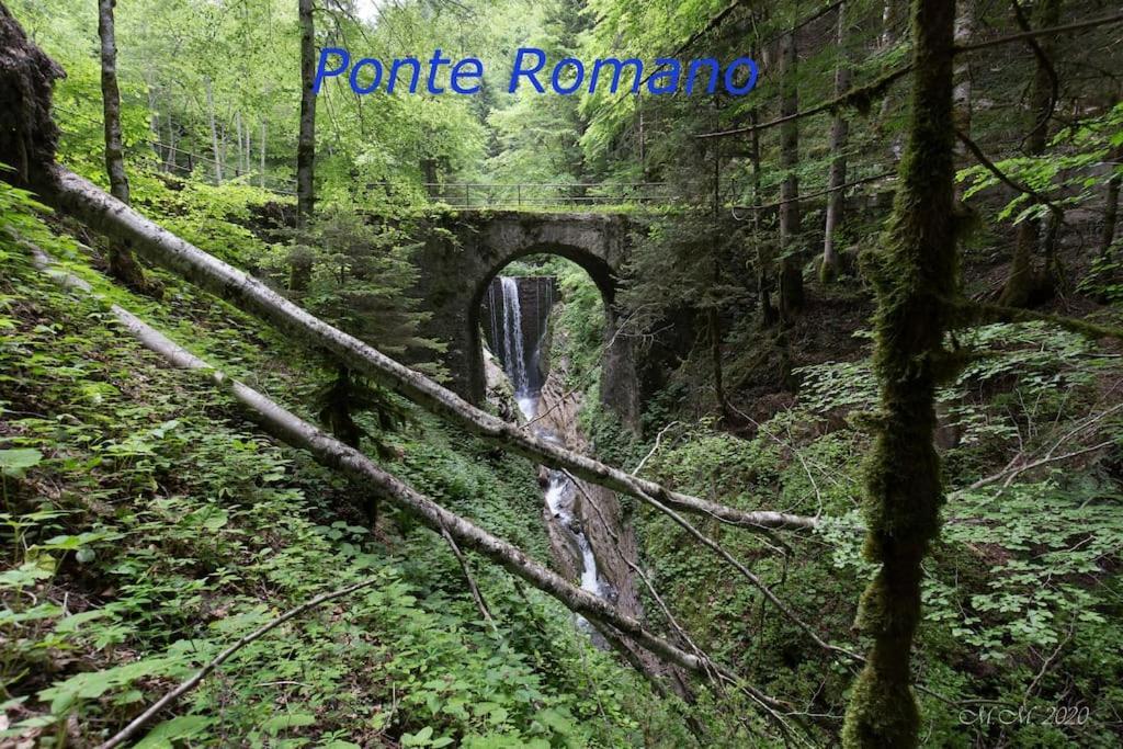 Appartamento Speranza Molina di Ledro Eksteriør billede